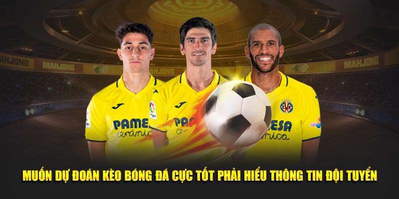 Muốn dự đoán kèo bóng đá cực tốt phải hiểu thông tin đội tuyển